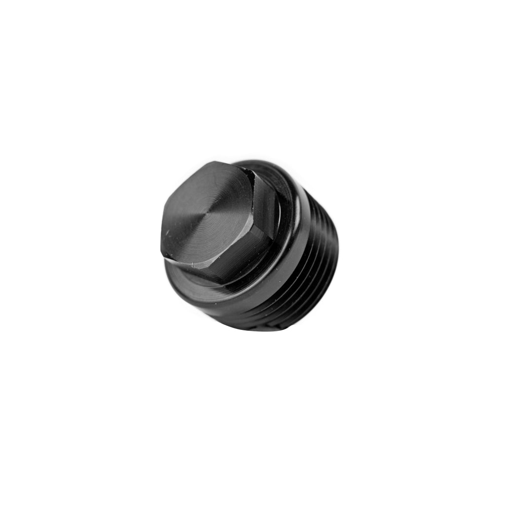 Fitting, 1" NPT Plug