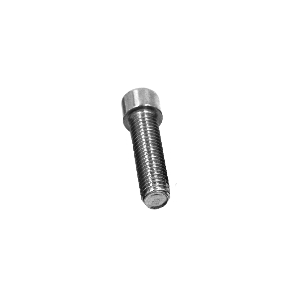 CS-M6-1X50-SS (SCREW)