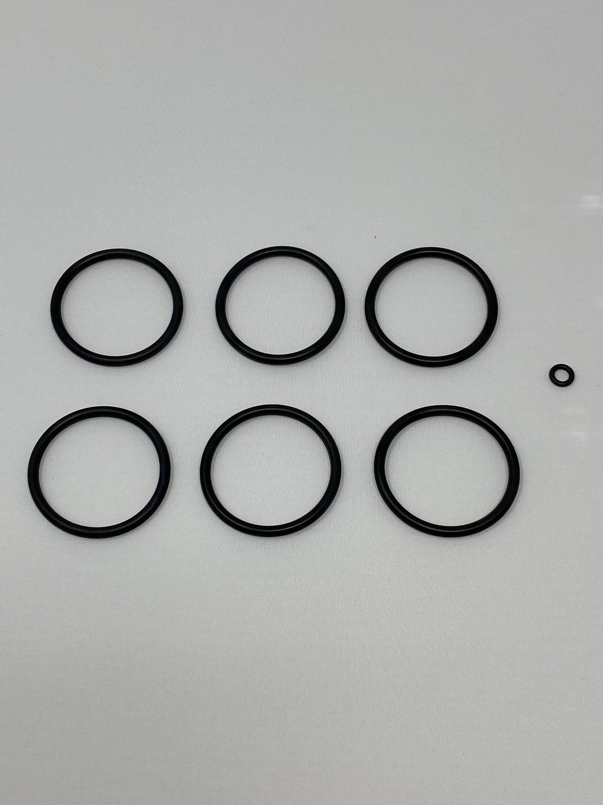 6 PISTON O-RING REBUILD KIT