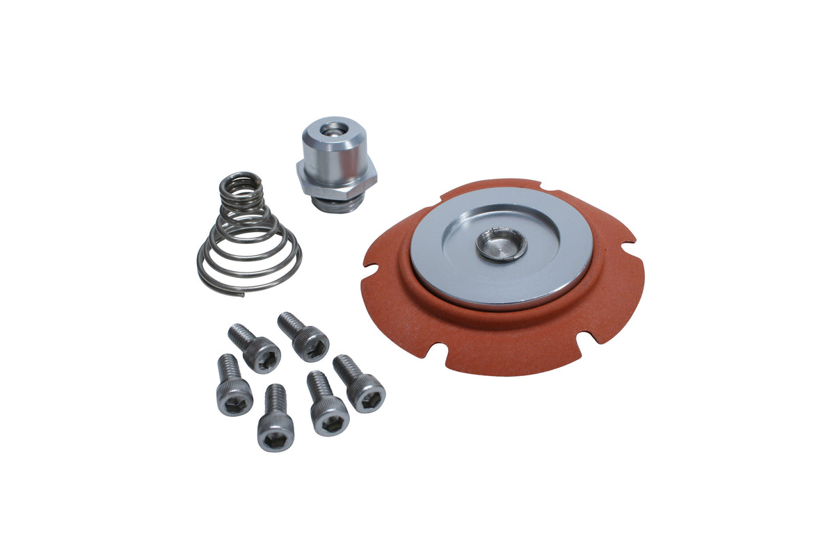 Low Pressure Regulator Service Kit