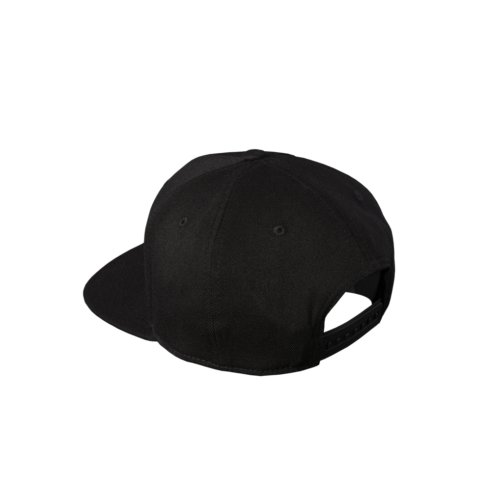 Logo 6-Panel Snapback Hat