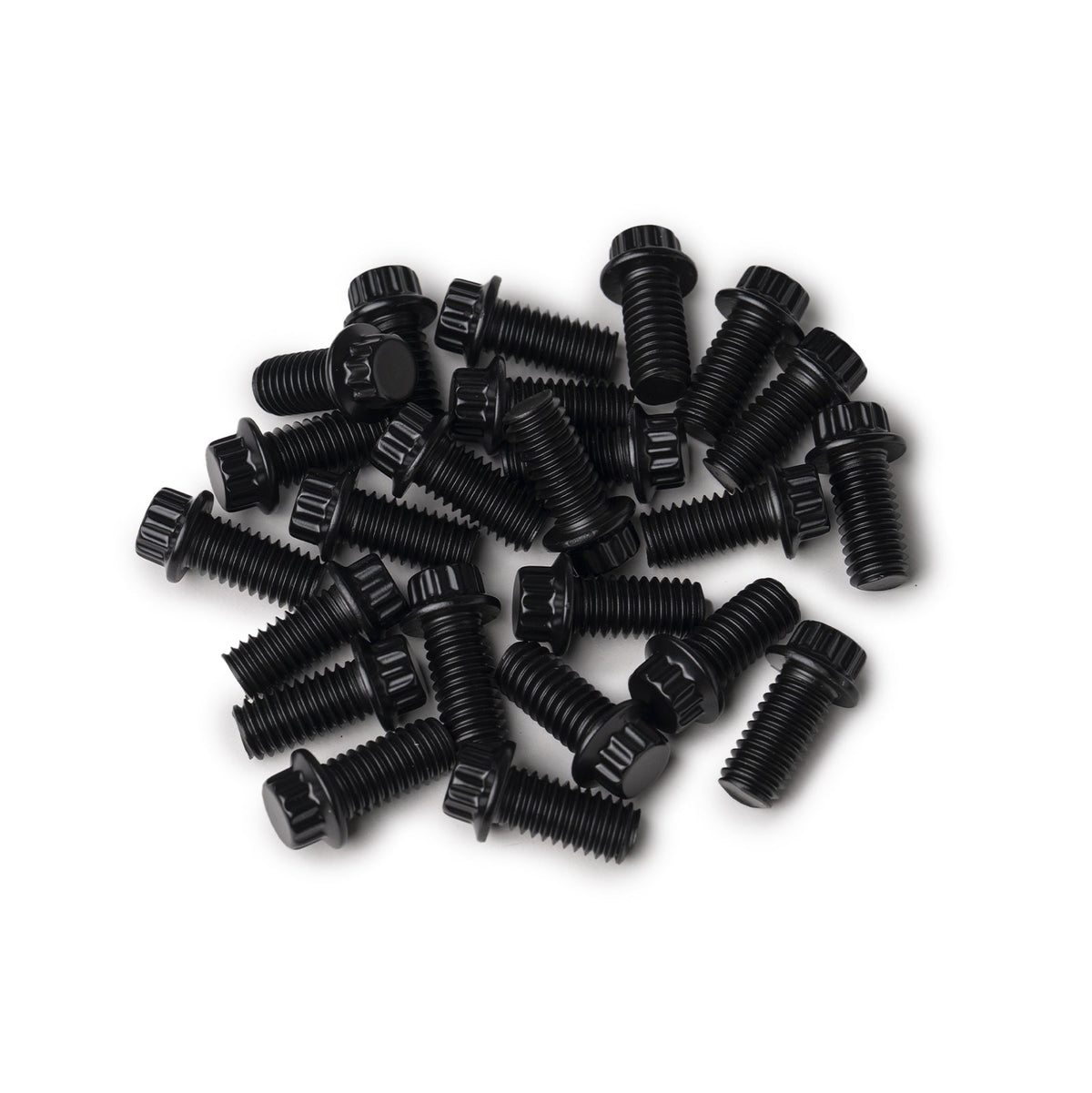 12 Point Lip Bolt Kit | Black