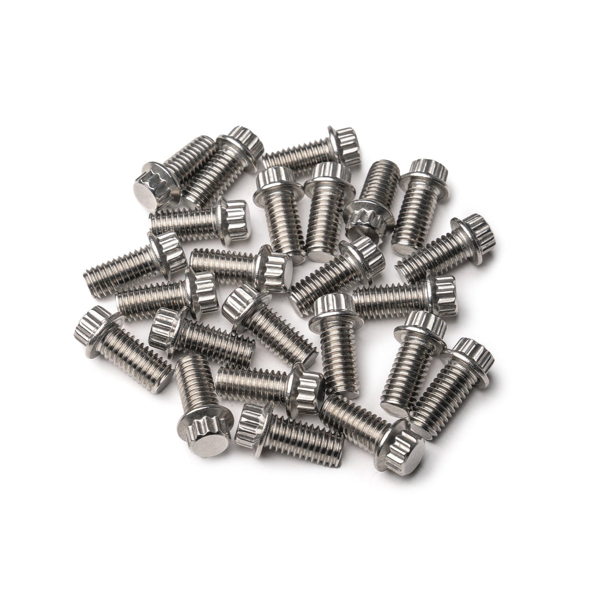 12 Point Lip Bolt Kit | Stainless