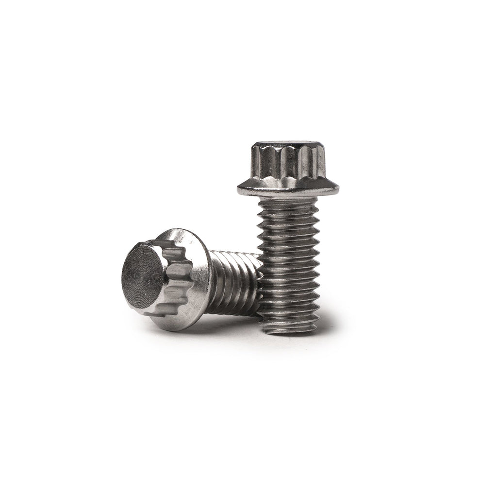 12 Point Lip Bolt Kit | Stainless