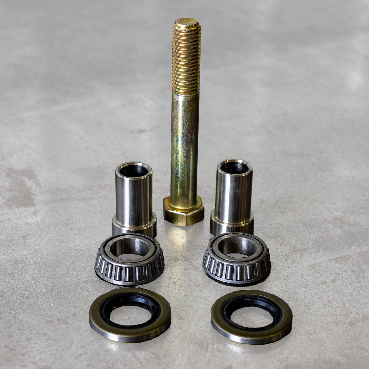 Swing Arm Bearing Rebuild Kit