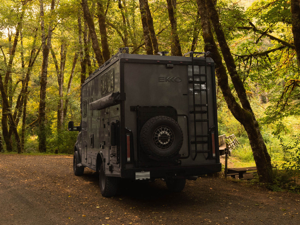 Winnebago Ekko Rear Ladder