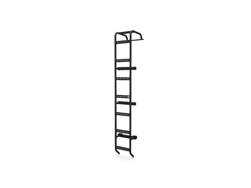 Winnebago Ekko Rear Ladder