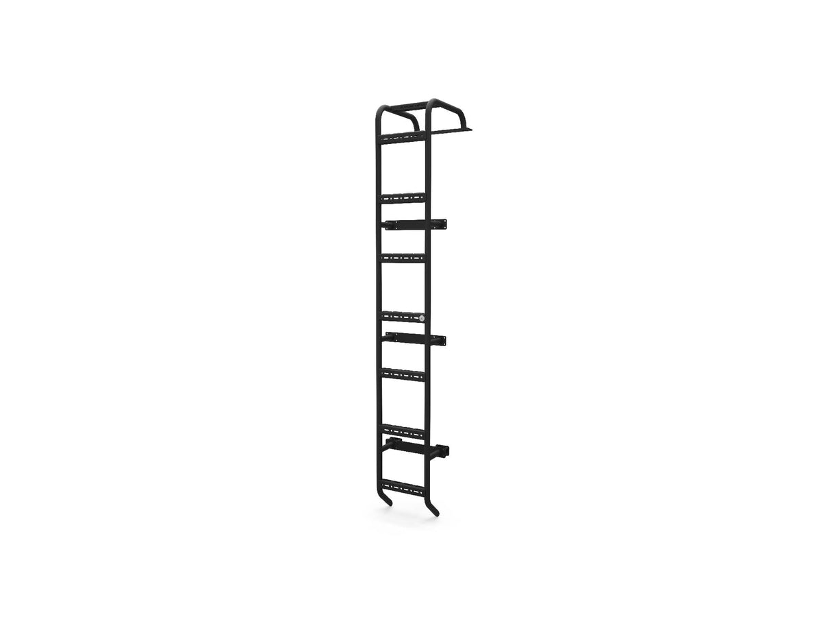 Winnebago Ekko Rear Ladder