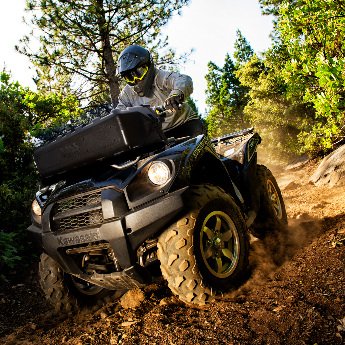 ATV30BRGB