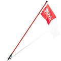 WP6