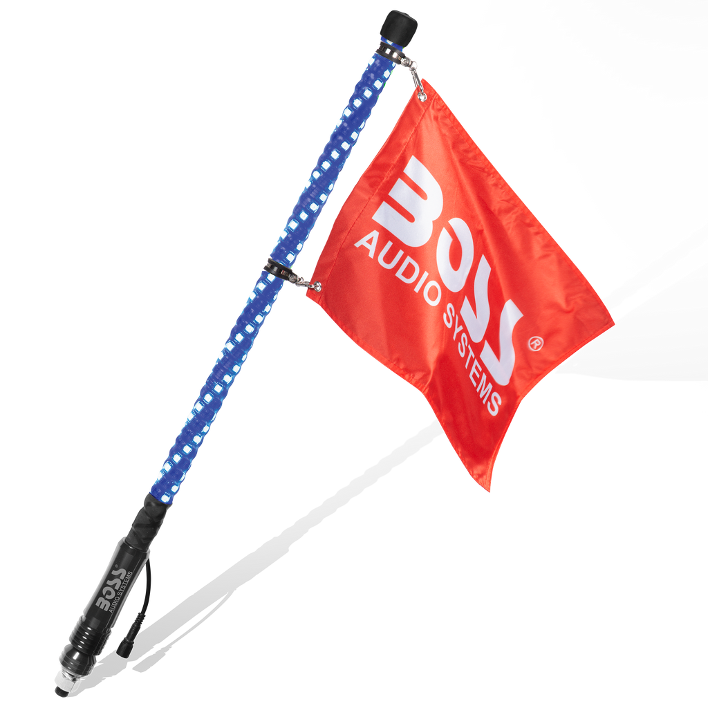 WP2