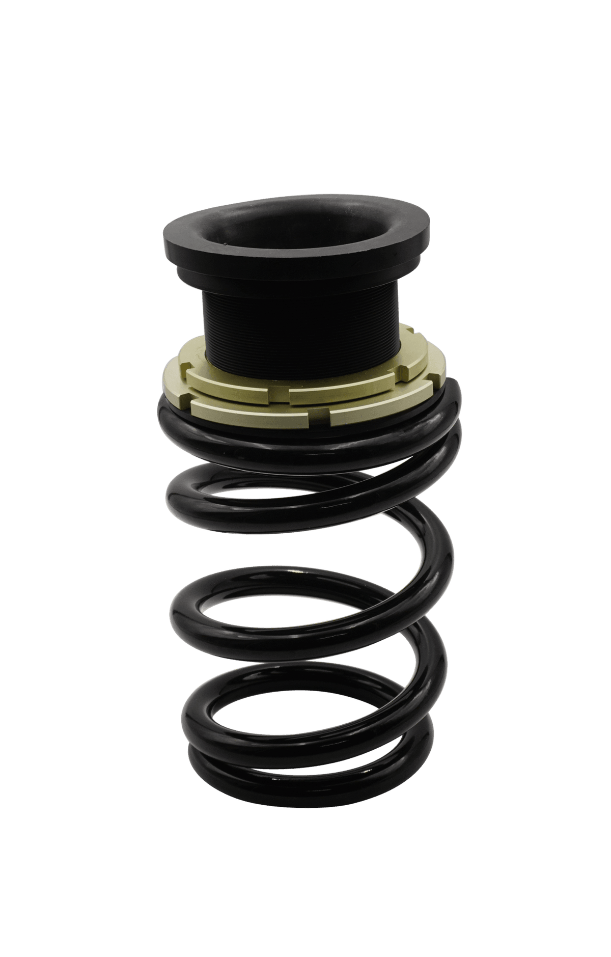 BLOX Racing Plus Series Pro Coilovers - 17-25 Model 3 RWD