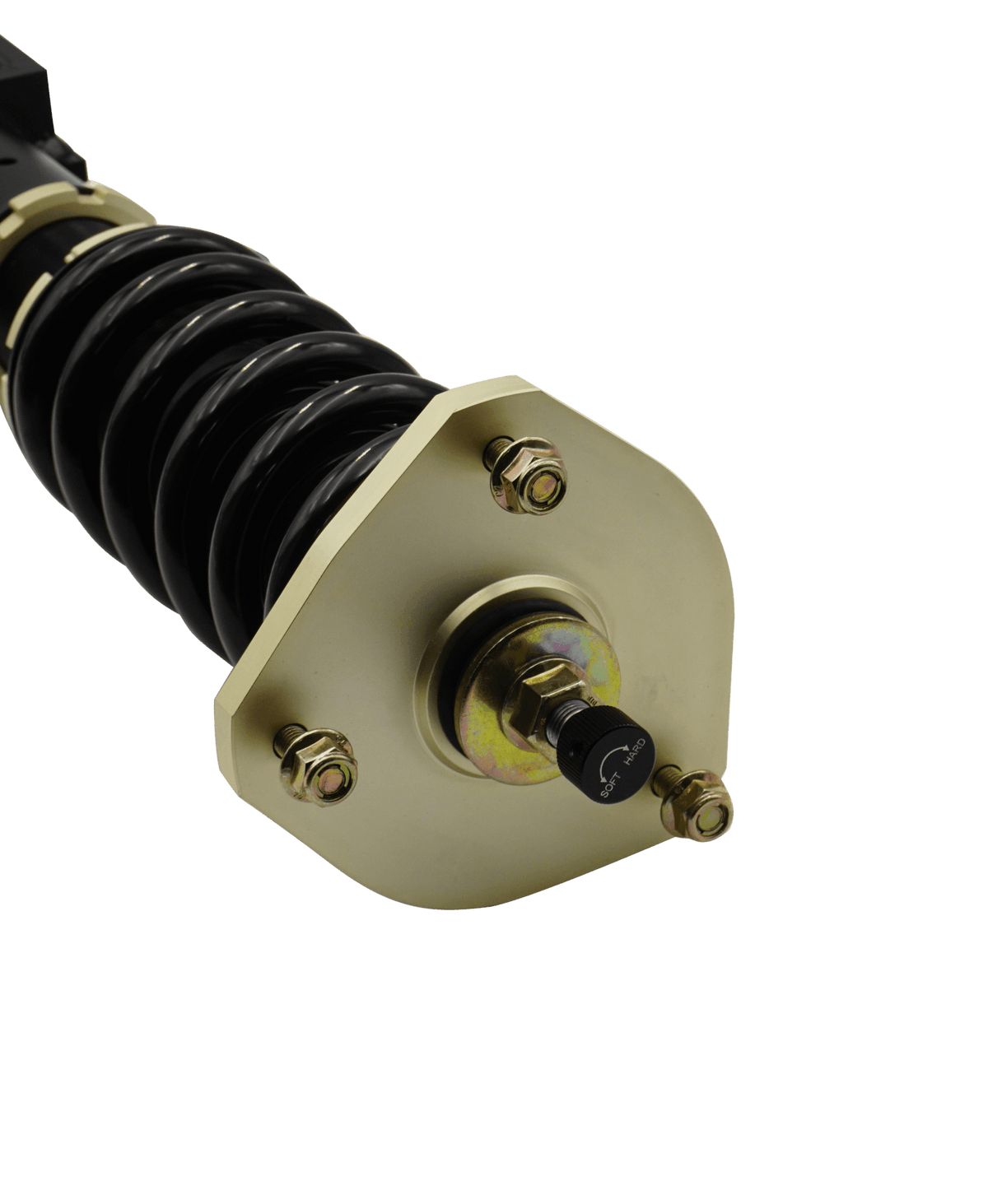BLOX Racing Plus Series Pro Coilovers - 2020-2025 Model Y