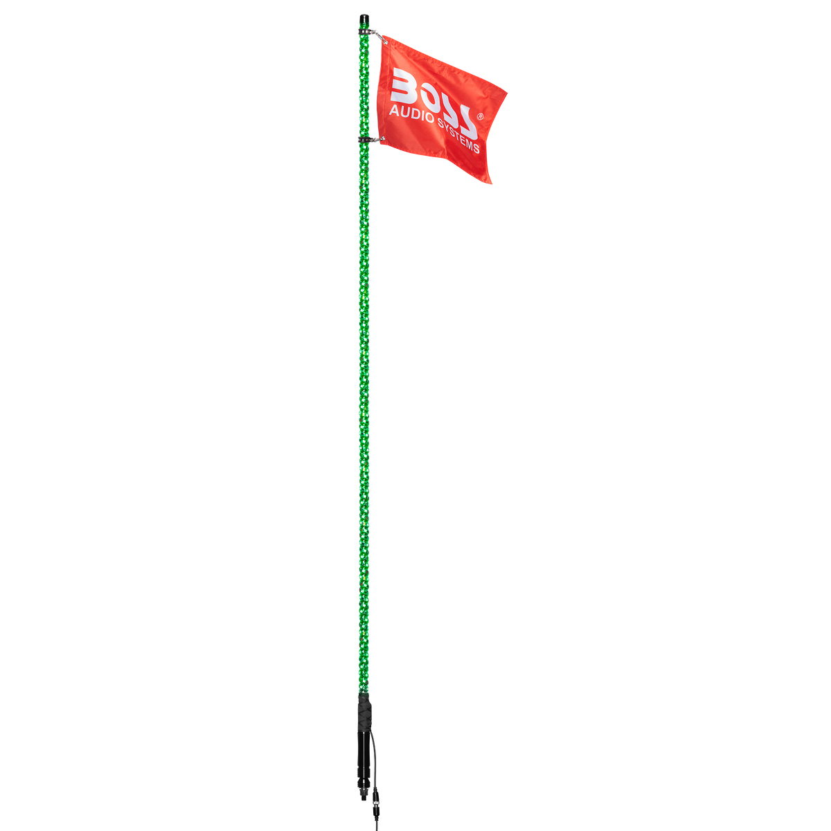 WP6