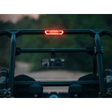 RIGID Chase | Amber