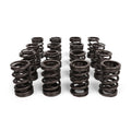 BLOX Racing Valve Springs - K-Series DOHC iVTEC